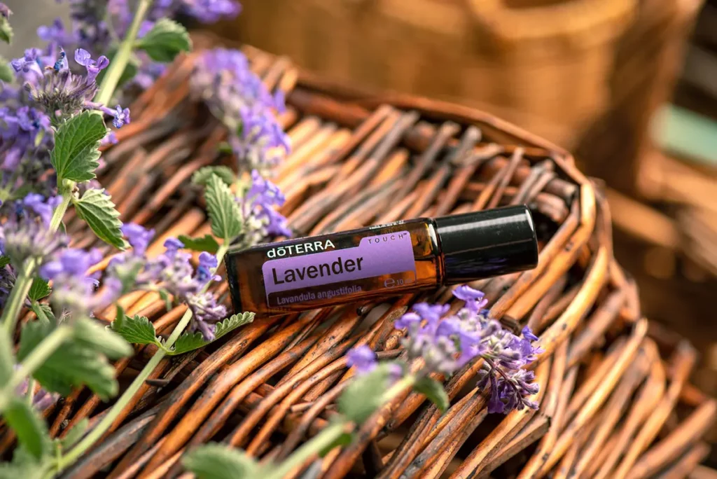 Levandule jako přírodní prostředek v aromaterapii pro úlevu od menstruačních bolestí