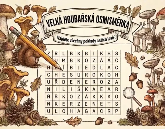 Náhled velké houbařské osmisměrky ke stažení zdarma v PDF k vytisknutí.